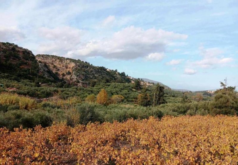 Pemonia Kreta, Pemonia: Grundstück innerhalb der Siedlung zu verkaufen Grundstück kaufen
